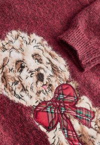 Pulover cărămiziu cu un design texturat al unui câine cu blană detaliată și o fundă în carouri roșii. Țesătura moale și tricotată sporește textura generală.