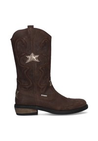 Bruine leren cowboylaars met steraccenten, gebogen stitching, een lichtpuntige neus en een lage gestapelde hak.