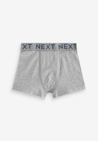 Next 10 PACK STANDARD - Shorty - blue grey