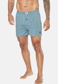 Hellblaue gestreifte Badeshorts mit Kordelzugbund, Knopfverschluss und kleinem Logopatch an der Seite. Hergestellt aus einem weichen Stoff.