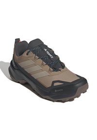 Brązowe i czarne buty trekkingowe Adidas Terrex z niebieskimi akcentami na sznurowadłach oraz solidną podeszwą, wyposażone w technologię wodoodporną Gore-Tex.