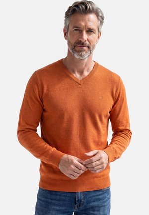 Mann mit grauem Haar und Bart, der einen orangen Pullover mit V-Ausschnitt und blaue Jeans trägt, vor einem schlichten hellen Hintergrund stehend.