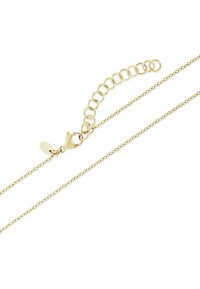 FAVS Halskette - geelgouden kleur