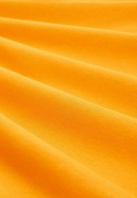 TOM TAILOR WITH PRINT - Sweat à capuche - fresh pepper orange