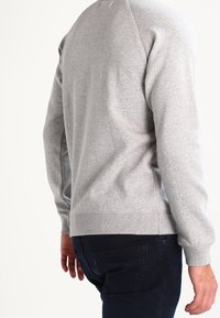 Grey sweatshirt with long sleeves, ribbed cuffs and hem, soft texture, and raglan sleeves. Worn over dark jeans, viewed from the back.