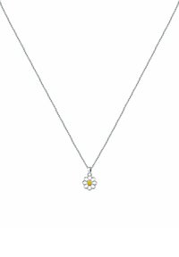 FAVS Collana - zilveren kleur