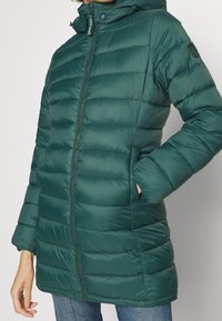Pepe Jeans Abrigo de invierno - dark green