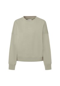 Lichtgrijze sweatshirt met een ronde halslijn en geribbelde manchet. Heeft een geborduurd merklogo op de voorkant en een relaxed, boxy fit.