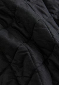 Next REGULAR FIT - Vest - animal print