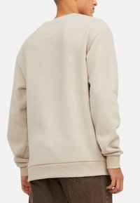 Beige sweatshirt met een ronde halslijn, lange mouwen en ribgebreide manchetten. Zachte textuur en casual pasvorm, weergegeven vanuit de achterkant.