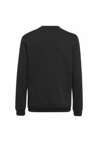 Black sweatshirt featuring a crew neck, long sleeves, and ribbed cuffs. Smooth texture with a solid color and minimalistic design.