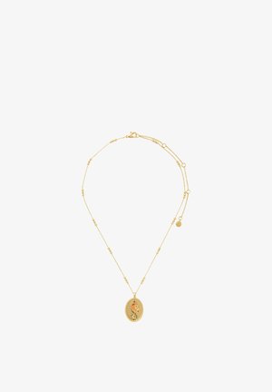 Collar de cadena dorada con pequeñas cuentas y un colgante ovalado que presenta un diseño grabado de un león y motivos botánicos.