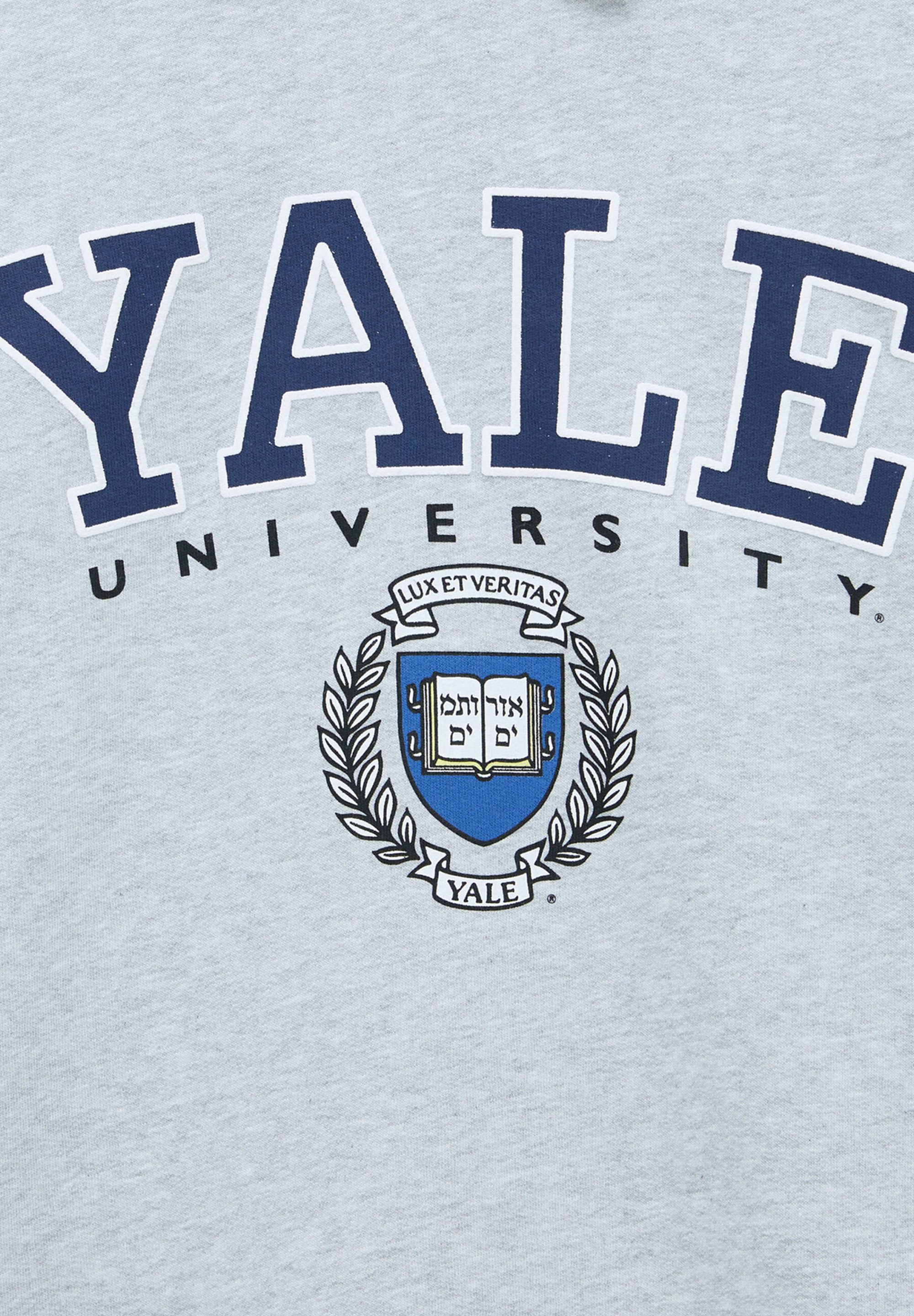 PULL\u0026BEAR YALE - Sweatshirt - light 