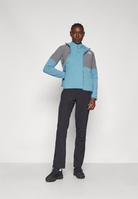 The North Face 100 GLACIER 1/4 ZIP - Vesta od flisa - algae blue