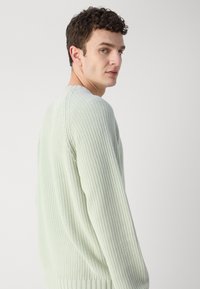 HUGO SONDYE - Pulover - light pastel green
