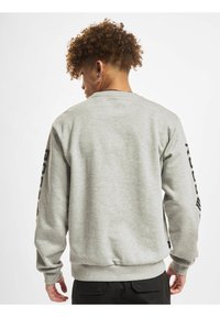 Lys grå sweatshirt med lange ærmer, ribbede manchetter og rund halsudskæring. Sort logo detalje langs venstre ærme. Blød stof tekstur.