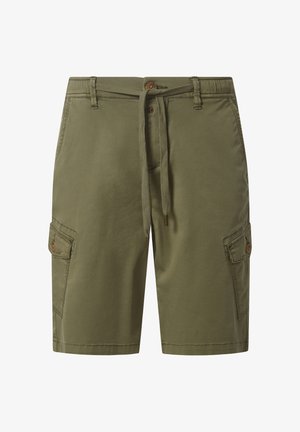 TIMEZONE, MARLA - Shorts - tropical green