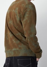 Champion Rochester Felpa - green