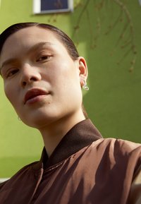 Monki Brincos - silver-coloured