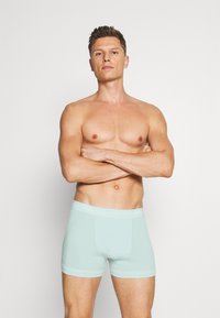 Calvin Klein Underwear TRUNK 3 PACK COTTON STRETCH - Cuecas boxer - maya blue/direct green/aqua luster