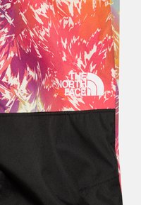 The North Face FREEDOM INSULATED PANT UNISEX - Ski- & snowboardbukser - multi-coloured
