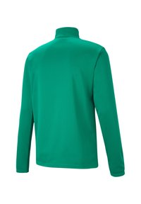 Grüner Langarmpullover mit hohem Kragen und schlankem Design, aus glattem Material und ohne sichtbare Logos oder Akzente.