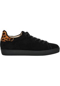 Baskets en daim noir avec un accent en imprimé léopard texturé sur le talon, présentant des lacets noirs et une semelle en caoutchouc noire.