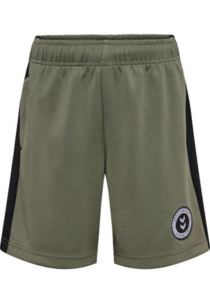 Shorts de sport verts avec une taille élastique, panneaux en filet noirs sur les côtés et un patch de logo circulaire sur le bas à l'avant.