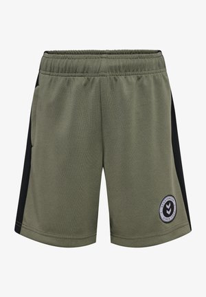 Grønne sportsshorts med elastisk talje, sorte mesh-sidestykker og et cirkulært logo-patch på den nederste front.