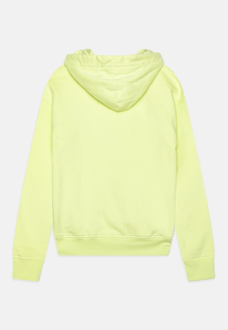 Abercrombie Fitch ICON ESSENTIAL Hoodie light green