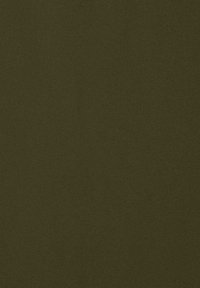 Donkergroen olijfkleurige stof met een gladde textuur, met een matte afwerking en een uniforme kleur, geschikt voor bekleding of accessoires.