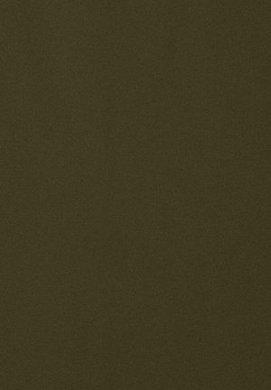 Tessuto verde oliva scuro con una texture liscia, caratterizzato da una finitura opaca e una colorazione uniforme, adatto per tappezzeria o accessori.