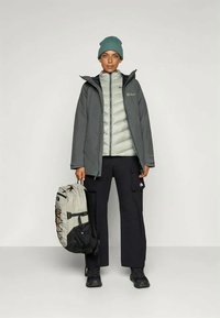 Jack Wolfskin ICECAPE  - Hardshell-jope - slate green