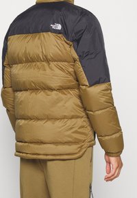 Giacca imbottita con corpo trapuntato marrone e pannello superiore nero. Ha un colletto tondo e il logo North Face sulla parte posteriore.