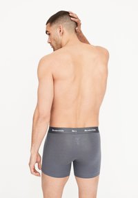 Boxers cortos grises fabricados en una tela suave, con una cinturilla negra que presenta texto logo. Textura suave y diseño ajustado, visible desde la parte posterior.