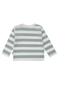 Langärmliges Oberteil mit abwechselnden aquamarinen und weißen horizontalen Streifen, Rundhalsausschnitt und weichem Baumwollstoff mit glatter Textur.