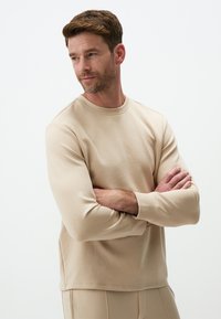 Sweatshirt beige a maniche lunghe in un materiale morbido, con scollatura rotonda e maniche aderenti, dalla texture liscia e senza dettagli prominenti.