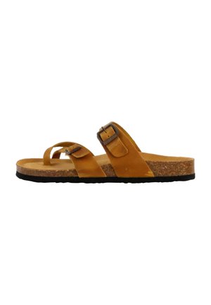 PLAKTON PLATE BOMBAY - Pantolette flach - ocre