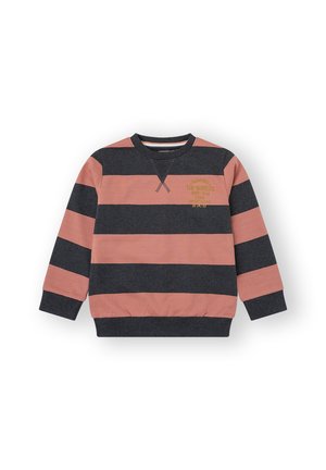 WINNERS - Sudadera - multicolor