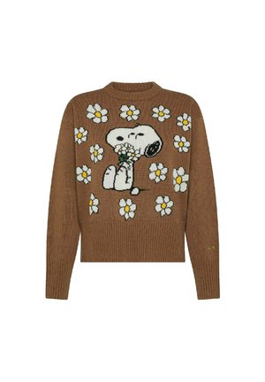 PEANUTS - Maglione - deserto