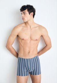 Prúžkované boxerky v modrej farbe, s vertikálnymi čiarami v rôznych odtieňoch. Mäkkučký materiál, pohodlné nosenie a elastický pás.