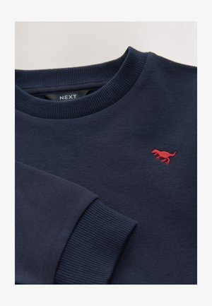 Bluza bleumarin dintr-un amestec de bumbac. Dispune de guler și manșete striate, cu un mic logo roșu în formă de dinozaur pe piept.