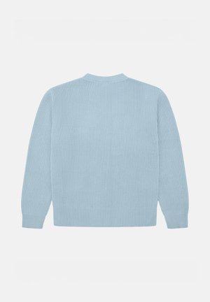 Suéter de punto azul claro con textura acanalada, mangas largas y diseño de cuello redondo. La vista trasera muestra una construcción sin costuras y un detalle mínimo.