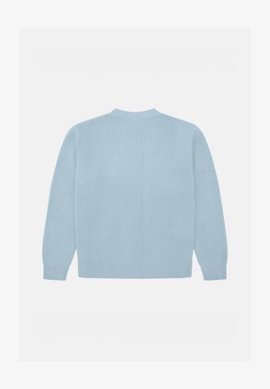 Suéter de punto azul claro con textura acanalada, mangas largas y diseño de cuello redondo. La vista trasera muestra una construcción sin costuras y un detalle mínimo.