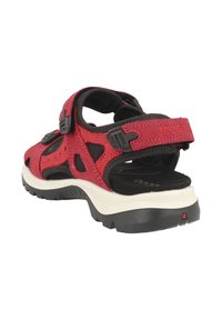 Punainen ja musta urheilullinen avonainen sandaali säädettävillä remmeillä ja kestävä mustavalkoinen pohja, esitetty takakulmasta.