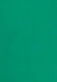 Robin Collection Complementos de playa - verde