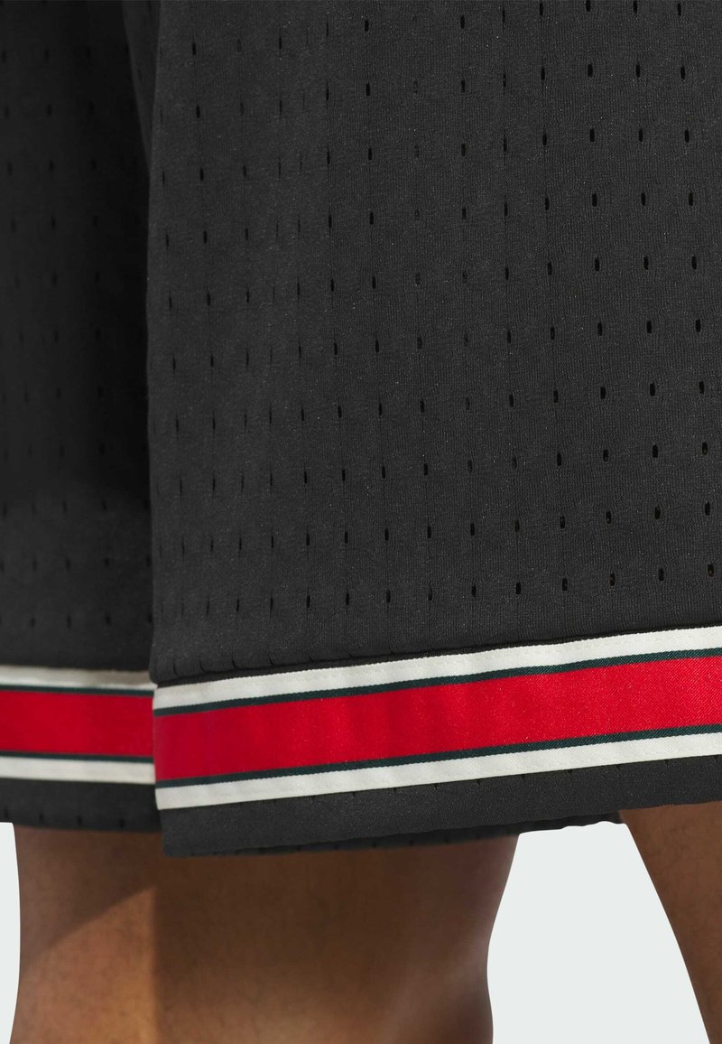 Schwarze Mesh-Shorts mit rot-weiß-grün gestreiftem Saum, getragen an Beinen vor weißem Hintergrund.