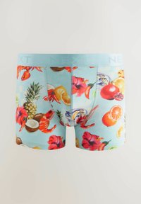 Boxershorts mit einem hellblauen Hintergrund, der mit einem lebendigen Obst- und Blumenmuster in rot, gelb und grünen Farbtönen dekoriert ist. Elastischer Bund mit "NEXT"-Logo.