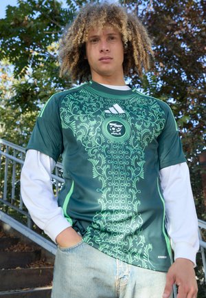 ALGERIA 24 AWAY - Maillot de foot - mineral green