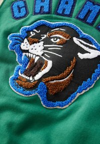 Grön tyg med ett framträdande broderat svart pantherhuvud, med bruna, vita och blå detaljer. Texten ovanför lyder "CHAMP."